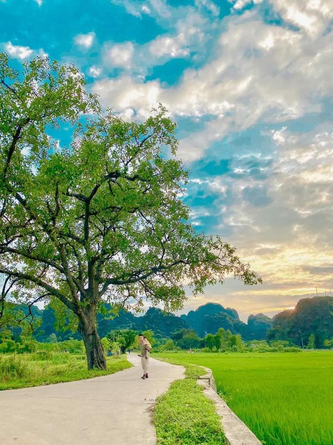 נין בין Tam Coc Sky Bungalow מראה חיצוני תמונה